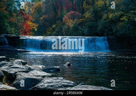 Eine ruhige natürliche Landschaft mit einem Fluss, der durch einen üppigen grünen Wald mit einer kleinen Kaskade fließt, was einen atemberaubenden visuellen Effekt erzeugt Stockfoto