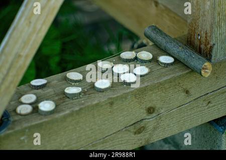 Herstellung von Holzkreisen für Runen, Irga Stockfoto