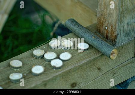 Herstellung von Holzkreisen für Runen, Irga Stockfoto