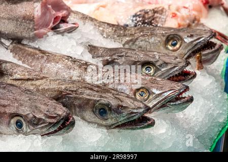 Frischer Fisch zum Verkauf auf einem Markt in Barcelona, Spanien Stockfoto