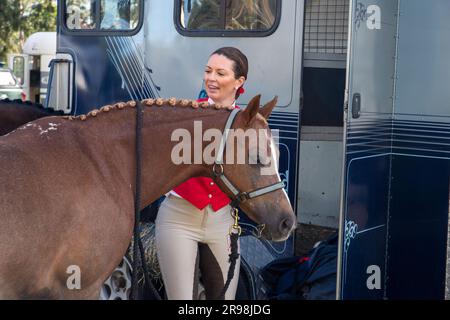 Colt und ihre Besitzer in Australien Stockfoto