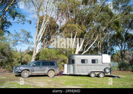 Colt und ihre Besitzer in Australien Stockfoto