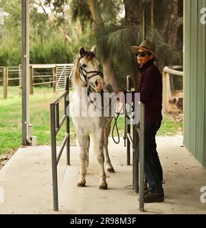 Colt und ihre Besitzer in Australien Stockfoto