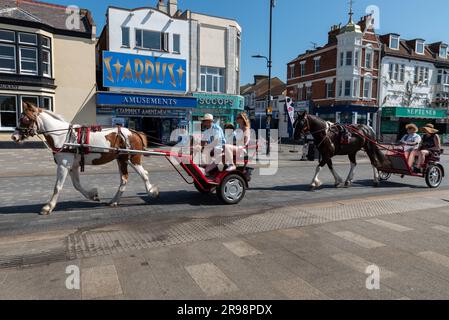 Southend on Sea, Essex, Großbritannien. 25. Juni 2023. Die Leute genießen den warmen, sonnigen Morgen in der Küstenstadt. Pony- und Fallenpaar-Trabrennfahrer auf der Marine Parade Road am Meer Stockfoto