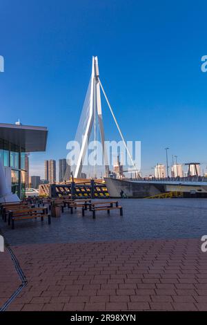 Rotterdam, Niederlande - 8. Oktober 2021: Erasmus-Brücke über Maas oder Maas in Rotterdam, der zweitgrößten Stadt der Niederlande. Stockfoto