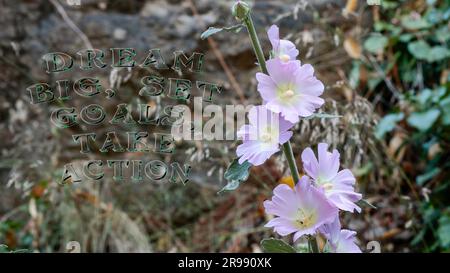 Träume GROSS, setze ZIELE, ergreife EINEN SATZ ZUM HANDELN. Neben der rosa Blume. Stockfoto