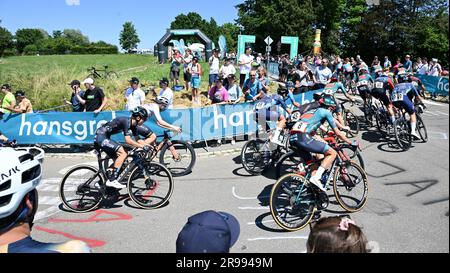 25. Juni 2023, Baden-Württemberg, Donaueschingen/Bad Dürrheim: Radfahren: Deutsche Meisterschaft, Donaueschingen - Bad Dürrheim - Road Men: Das Spielfeld der Fahrer. Foto: Bernd Weißbrod/dpa Credit: dpa Picture Alliance/Alamy Live News Stockfoto