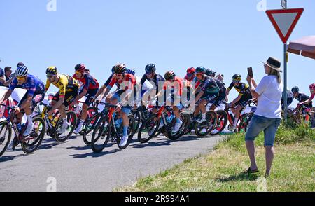 25. Juni 2023, Baden-Württemberg, Donaueschingen/Bad Dürrheim: Radfahren: Deutsche Meisterschaft, Donaueschingen - Bad Dürrheim - Road Men: Das Spielfeld der Fahrer. Foto: Bernd Weißbrod/dpa Credit: dpa Picture Alliance/Alamy Live News Stockfoto