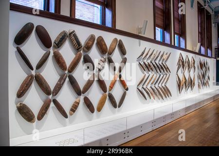 Sydney, Australien, 26. März 2023: Ausstellung „many friends“ im Australian Museum. Aboriginal Shields wurden aus Rinde oder Holz hergestellt. Stockfoto