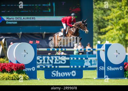 Mario Deslauriers aus Kanada tritt am 4. Juni 2023 beim FEI Nations Cup in Langley, B.C., an. Stockfoto