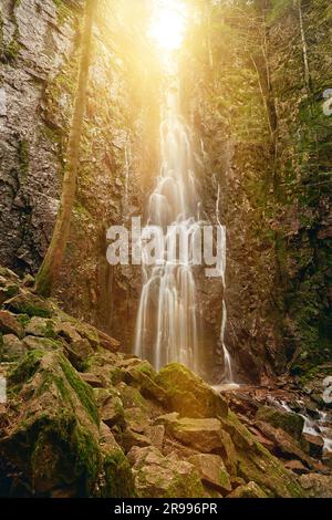 Der Burgbach-Wasserfall im Nadelwald fällt über Granitfelsen in das Tal bei Bad Rippoldsau-Schapbach, Schwarzwald, Deutschland. Unglaublich Stockfoto