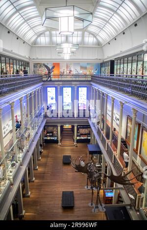 Sydney, Australien, 26. März 2023: Die Westpac Long Gallery im Australian Musuem. Es wird für die Ausstellung „200 Schätze“ und „Vögel Australiens“ verwendet. Stockfoto