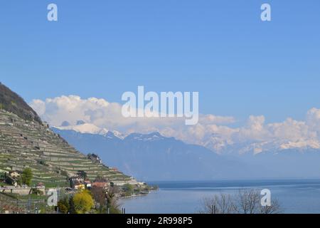 Weinterrassen Weinberge Lavaux zum UNESCO-Weltkulturerbe gehörende Weinberge am Genfer See, Lac Leman, im April mit Blick nach Südosten in Richtung Montreux. Stockfoto