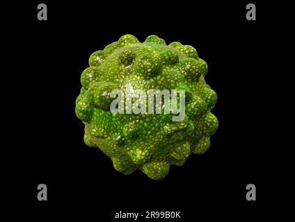 Organische Form grün gefärbtes 3D-Virusmodell isoliert auf schwarzem Hintergrund, medizinische 3D-Darstellung Stockfoto