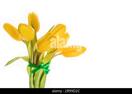 Gelbe Tulpen 7 Stück auf weißem Hintergrund isolieren Stockfoto