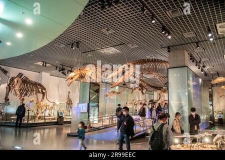 Die Ausstellung „Evolution of life – from the Earth’s Origin Through Human Existence“ im National Museum of Nature and Science. Stockfoto