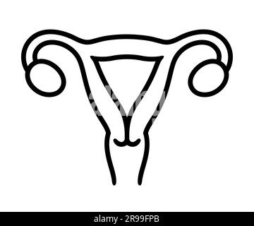 Symbol der menschlichen Uteruslinie. Weibliches Organ des Fortpflanzungssystems, einfache schwarz-weiße Zeichnung. Vektordarstellung. Stock Vektor