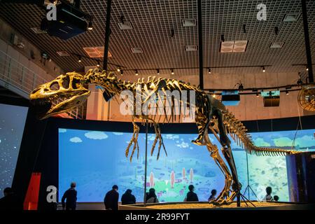 Tokio Japan März 11. 2023: Theropod im Nationalmuseum für Natur und Wissenschaft. Das ist das erste Dinosaurierskelett, das je in Japan ausgestellt wurde. Stockfoto
