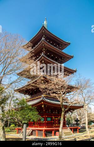 Die fünffache Pagode des Kan'ei-ji-Tempels ist ein buddhistischer Tendai-Tempel in Tokio, Japan, der 1625 während der Kan'ei-Ära von Tenkai gegründet wurde. Stockfoto