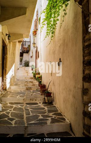 Enge Gassen der traditionellen griechischen Stadt Naxos. Naxos Island, Kykladen, Griechenland Stockfoto