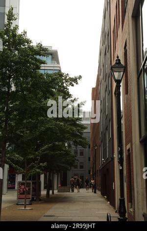 London, Mittsommer 2023 Stockfoto