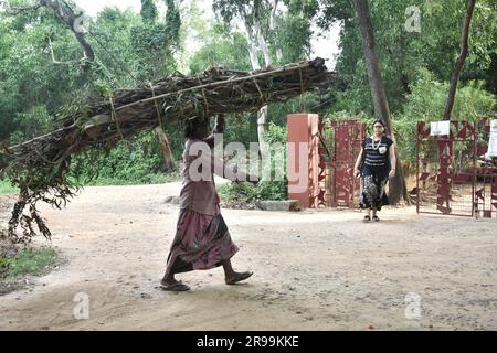 Santiniketan, Westbengalen, Indien. Santali-Tänzer und andere Touristen tanzten auf der lokalen Messe. Stockfoto