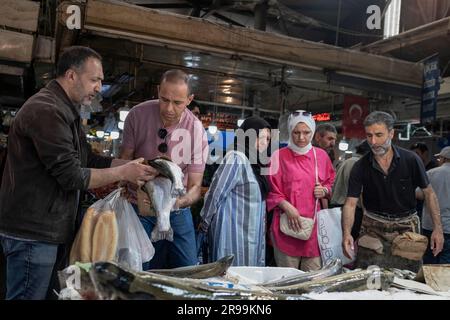 Ankara, Türkei. 24. Juni 2023. Ein Mann sah Fisch kaufen, während Frauen die Preise auf dem Ulus-Markt untersuchten. Der Anstieg des Dollars setzt sich in der Türkei rasch fort, die türkische Lira verliert weiterhin an Wert. Während die Auswirkungen der Wirtschaftskrise in der Türkei anhalten, kaufen Familien der unteren und mittleren Klasse vor Eid al-Adha ein. (Foto: Bilal Seckin/SOPA Images/Sipa USA) Guthaben: SIPA USA/Alamy Live News Stockfoto