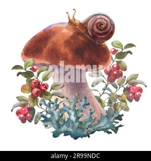 Pilze Waldboletus mit Moos, Preiselbeeren und Schnecke. Aquarelldarstellung, handgezeichnet, isoliert auf weißem Hintergrund. Stockfoto