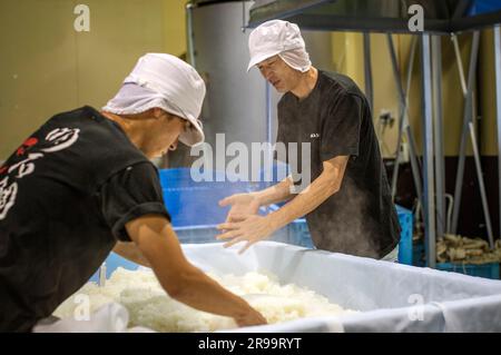 Reiskörner werden gesiebt und für die Herstellung von japanischem Sake in der Akashi Sake Brauerei, Präfektur Hyogo, Japan, vorbereitet Stockfoto