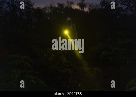Vorderansicht eines Nachtmanns mit Taschenlampe. Touristensucher im Dschungel der Dunkelheit Stockfoto