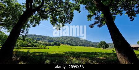 Landschaftsbau, Jarry, Isère, Frankreich Stockfoto