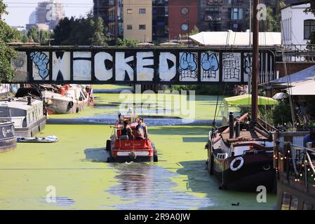 London, Vereinigtes Königreich, Juni 25. 2023. Das heiße Wetter verursachte den ungewöhnlichen Anblick von grünen Algen auf der River Lea Navigation im trendigen Hackney Wick im Osten Londons. Die Gegend war sehr voll, da die Leute die heiße Sonne genossen. Kredit: Monica Wells/Alamy Live News Stockfoto