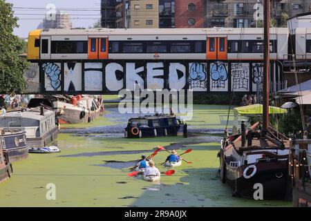 London, Vereinigtes Königreich, Juni 25. 2023. Das heiße Wetter verursachte den ungewöhnlichen Anblick von grünen Algen auf der River Lea Navigation im trendigen Hackney Wick im Osten Londons. Die Gegend war sehr voll, da die Leute die heiße Sonne genossen. Kredit: Monica Wells/Alamy Live News Stockfoto