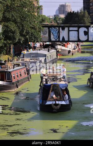 London, Vereinigtes Königreich, Juni 25. 2023. Das heiße Wetter verursachte den ungewöhnlichen Anblick von grünen Algen auf der River Lea Navigation im trendigen Hackney Wick im Osten Londons. Die Gegend war sehr voll, da die Leute die heiße Sonne genossen. Kredit: Monica Wells/Alamy Live News Stockfoto