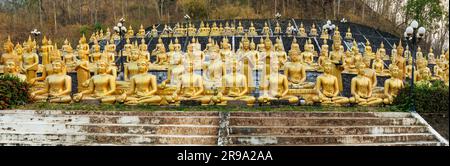 Mehrere Reihen goldener Statuen des Buddha mit Blumen im Wat Phou Salao, Pakse, Laos Stockfoto