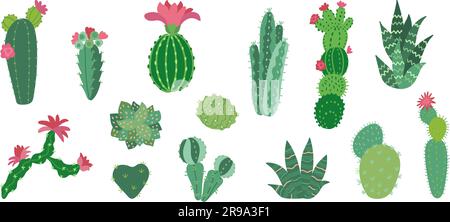 Flacher mexikanischer Kaktus, dekorative Kakteen arizona Wüste. Sukkulente, heimische grüne Einrichtung mit Blumen. Isolierte Kakteen, blumiger Cartoon-Vektorsatz Stock Vektor