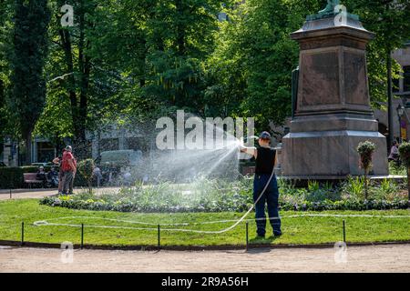 Parkwächter, die an einem sonnigen Sommertag Gras und Pflanzen im Esplanade Park in Helsinki, Finnland, gießen Stockfoto