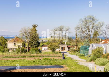 Thessaloniki, Griechenland - 28. April 2023: Pädagogischer Gemüsegarten und Grünhäuser an der American Farm School in Thessaloniki Zentralmakedonien in Griechenland Stockfoto