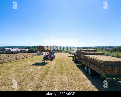 Heuernte mit Ballengreifer von Landmaschinen im Sommer, Draufsicht. Stockfoto