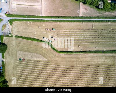 Heuernte mit Ballengreifer von Landmaschinen im Sommer, Draufsicht. Stockfoto