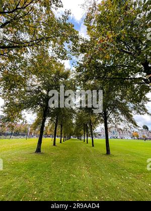 Amsterdam, NL - 12. Oktober 2021: Museumplein-Park in Amsterdam, Niederlande. Stockfoto