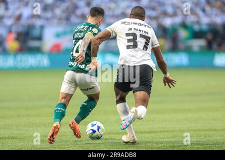 Sao Paulo, Brasilien. 25. Juni 2023. SP - SAO PAULO - 06/25/2023 - BRAZILEIRO A 2023, PALMEIRAS X BOTAFOGO - Artur Palmeiras Spieler tritt mit Junior Santos Spieler aus Botafogo während eines Spiels im Arena Allianz Parque Stadion um DIE BRASILIANISCHE A 2023 Meisterschaft an. Foto: Marcello Zambrana/AGIF/Sipa USA Kredit: SIPA USA/Alamy Live News Stockfoto