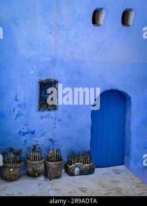 Ein faszinierendes antikes blaues Haus mit einer blauen Tür und Felsenplantagen mit abschreckenden Spikes in marokkanischer traditioneller Architektur in Chefchaouen, Marokko Stockfoto