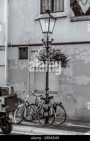 Utrecht, NL - 9. Okt 2021: Kunstvolle Laterne mit Geraniumblumen, Straßendekoration in Utrecht, Niederlande. Stockfoto