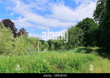 Eine wunderschöne Waldlandschaft in der kent-Landschaft von Hever Stockfoto