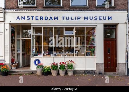 Amsterdam, Niederlande - 17. Oktober 2021: Vorderansicht des Tulpenmuseums von Amsterdam, ein Geschäft, in dem Tulpenbirnen verkauft und Tulpenarten ausgestellt werden. Stockfoto