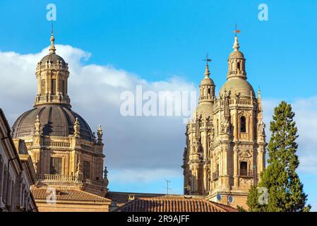 Das Dach der Kathedrale von Salamanca in Spanien Stockfoto