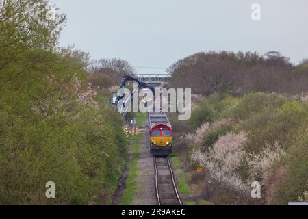 Entladen von Zuschlagstoffen für den Bau von HS2 in Quaniton Railhead, Buckinghamshire. Der Zug wird von der DB-Fracht der Klasse 66 nach oben und hinten transportiert Stockfoto