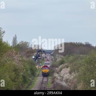 Entladen von Zuschlagstoffen für den Bau von HS2 in Quaniton Railhead, Buckinghamshire. Der Zug wird von der DB-Fracht der Klasse 66 nach oben und hinten transportiert Stockfoto