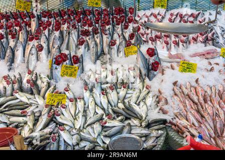 Auswahl an frischem Fisch auf einem Markt in Istanbul, Türkei Stockfoto